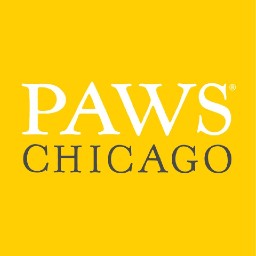 Team Paws - Paws Chicago