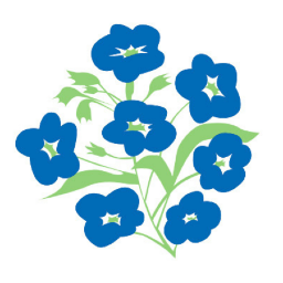 The Alzheimer Society of Ireland
