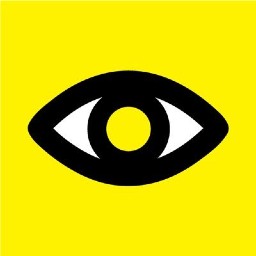 Macular Society