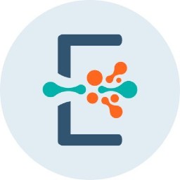 Epilepsy Research Institute UK