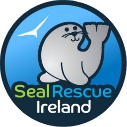 Seal Rescue Ireland