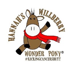 Hannah's Willbery Wonder Pony