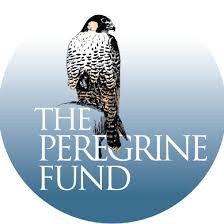 The Peregrine Fund