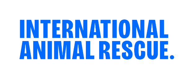 International Animal Rescue