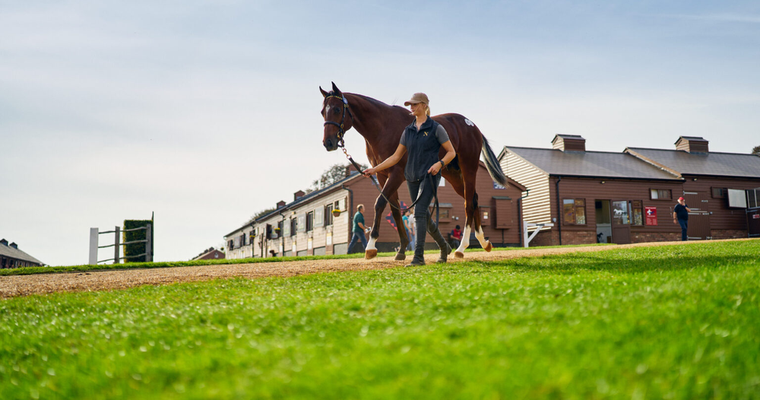 Racing Welfare