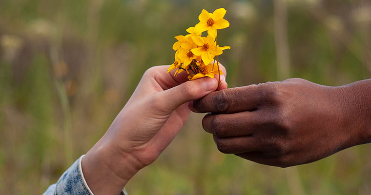 The Compassionate Friends