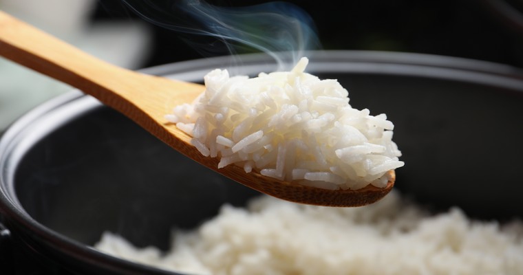 RICE - Research Institute For The Care Of Older People