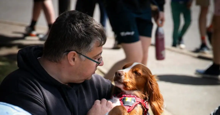 Service Dogs UK
