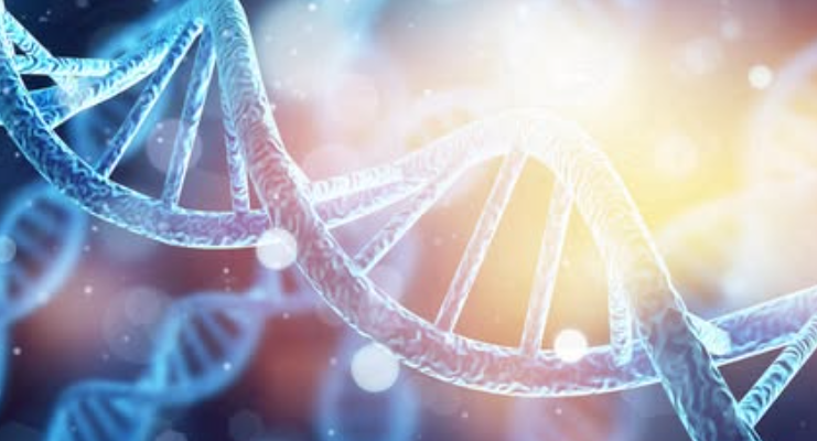 Huntington’s Disease Foundation