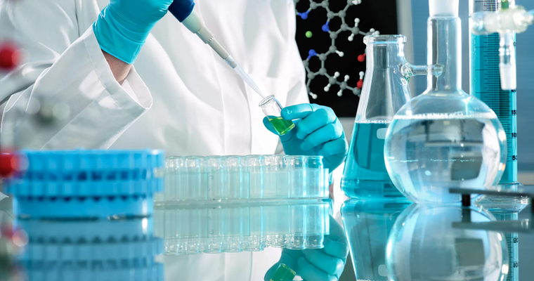 The IBC Network Foundation