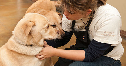 Team Paws - Paws Chicago