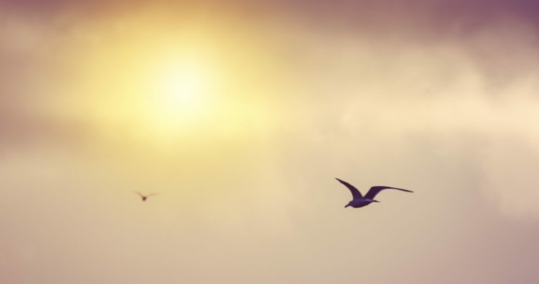 ARFID Advocacy Ireland