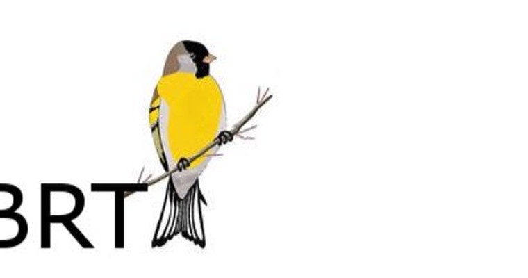 Kevin Bell Repatriation Trust