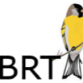 Kevin Bell Repatriation Trust logo