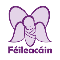 Féileacáin (Stillbirth and Neonatal Death Association of Ireland - SANDAI) logo